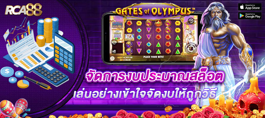 การจัดการงบประมาณ